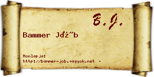 Bammer Jób névjegykártya